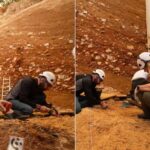 A casual resignation email by idol-pop kpop Music Casual Resignation email by idol-pop kpop Music Gen-Z Intern Goes Viral