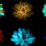 Best U.S. Beaches for Summer Vacations