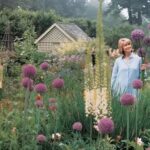 Chair Yoga for Every Body – A Wellness Trend Worth Trying