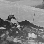 5 Amazing Benefits of Eating One Pomegranate Daily for Better Health and Glowing Skin