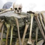 “Your Pillow Is Silently Destroying Your Neck” — Japan’s Leading Pain Expert Issues Startling Warning