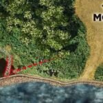 Apple to Open New Retail Store in Noida on December 11: A Major Boost to India Expansion