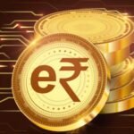 Plane Crash in North Carolina Claims Multiple Lives, Investigation Underway